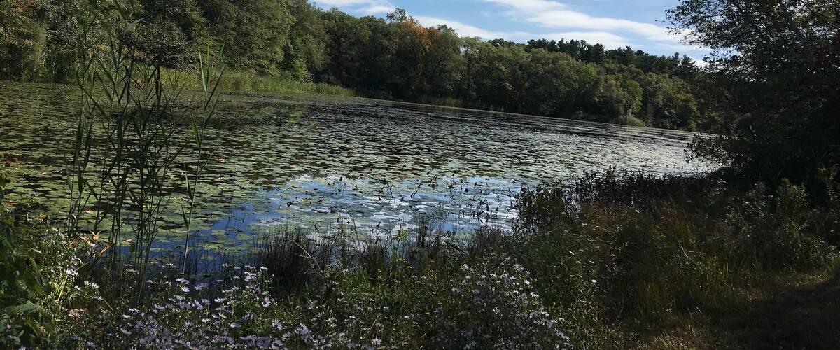 A peaceful place to refresh myself - mind and soul!!!
#hiking