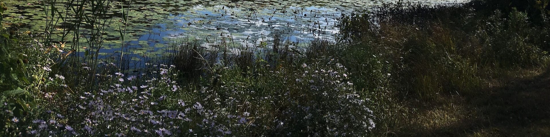 A peaceful place to refresh myself - mind and soul!!!
#hiking