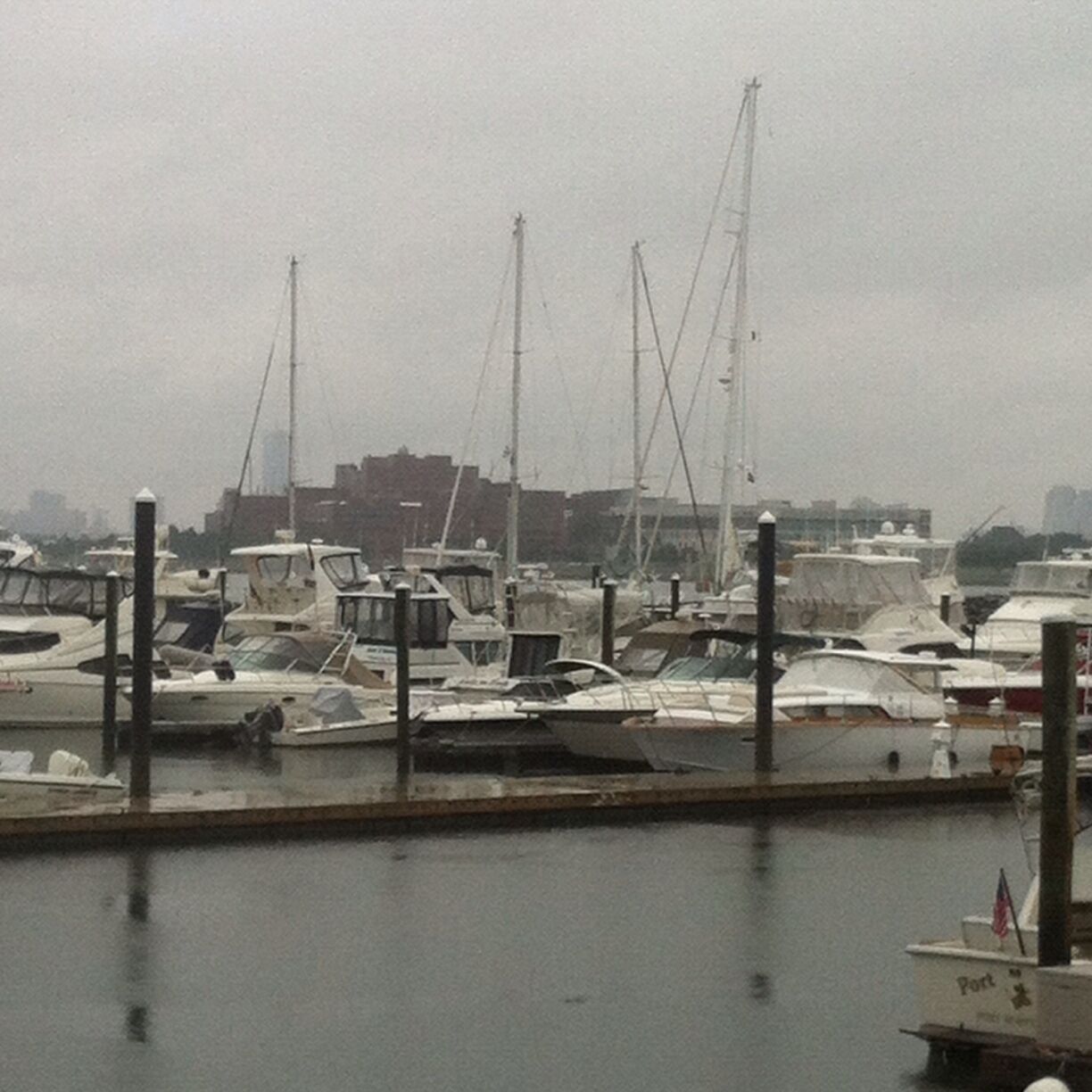 Photo from marina bay Quincy with Umass Boston in the background.