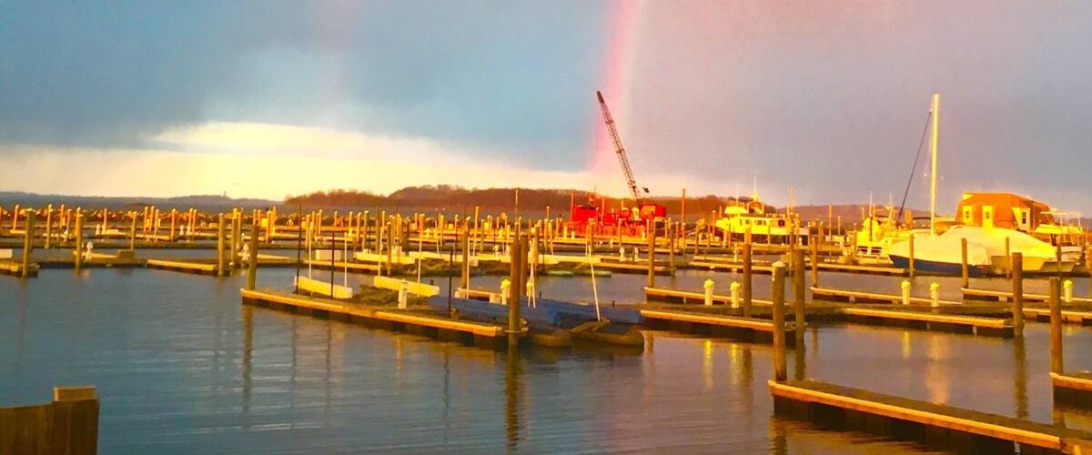 After the rain...