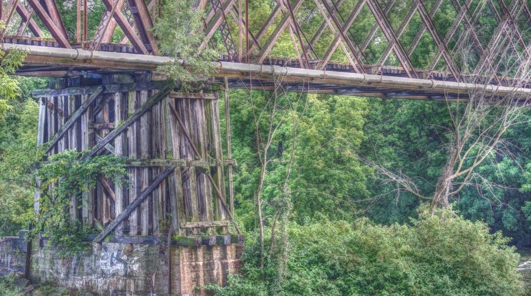 There is an old train bridge that crosses the river here. Great trails for great photos!!!