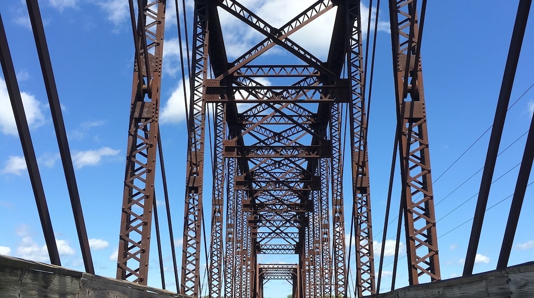 Be sure to bike the Red Cedar trail this summer! You'll end up here.