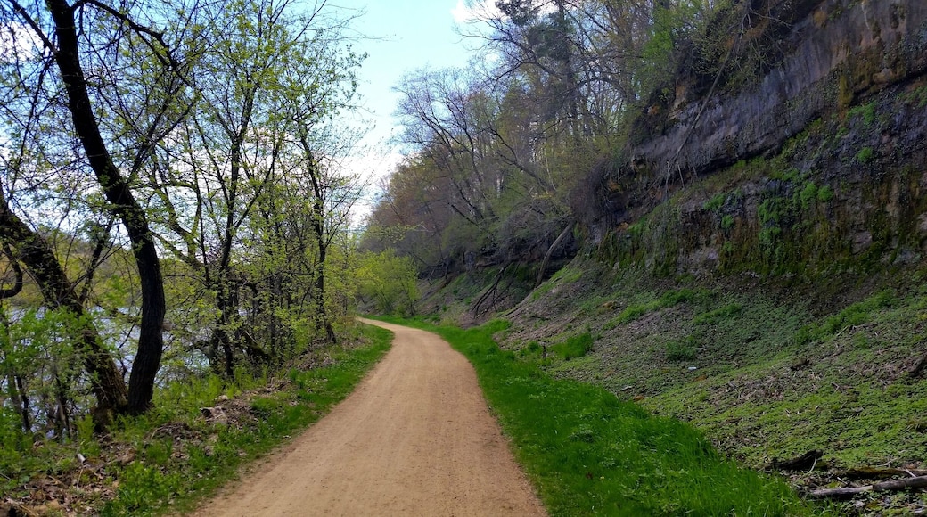 Enjoyed the spring day along the Red Ceder Trail.