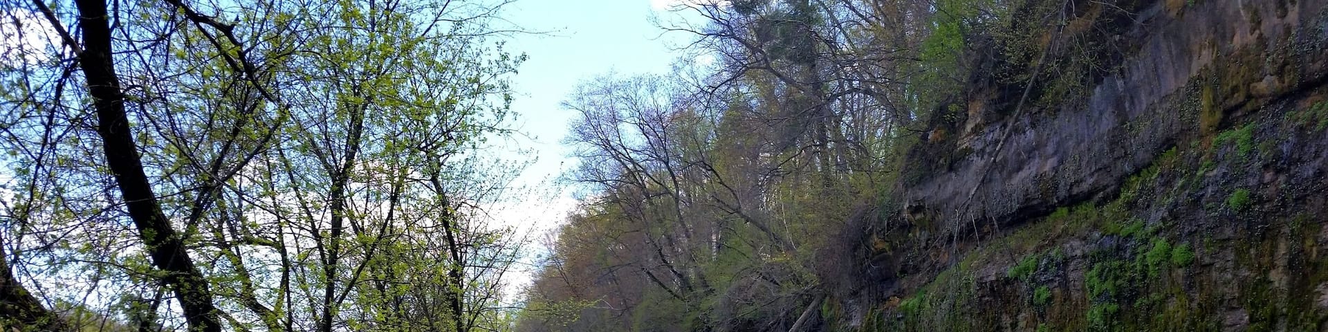 Enjoyed the spring day along the Red Ceder Trail.