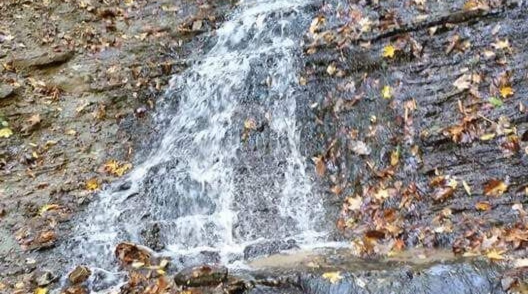 This hidden gem is just down the road from Devil's Punch bowl.