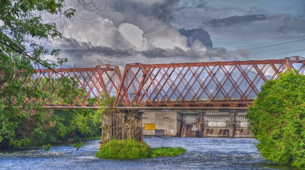 Another cool photo I took at the park here of this old run down train bridge!