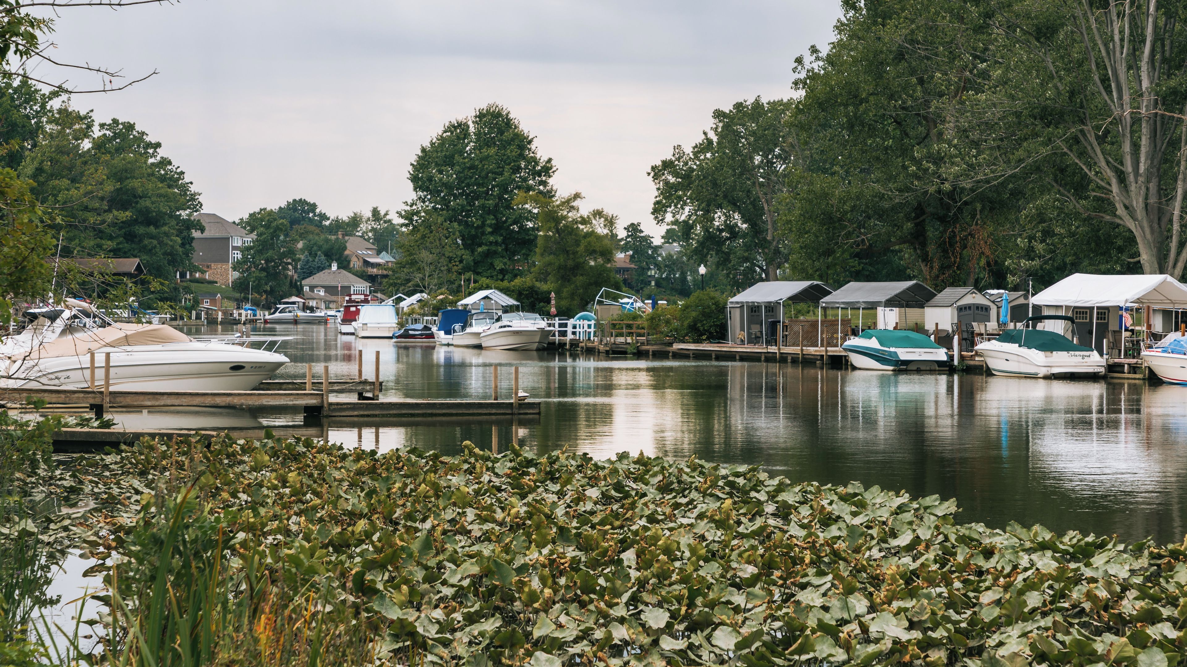 A marina with boats docked, surrounded by trees and houses.