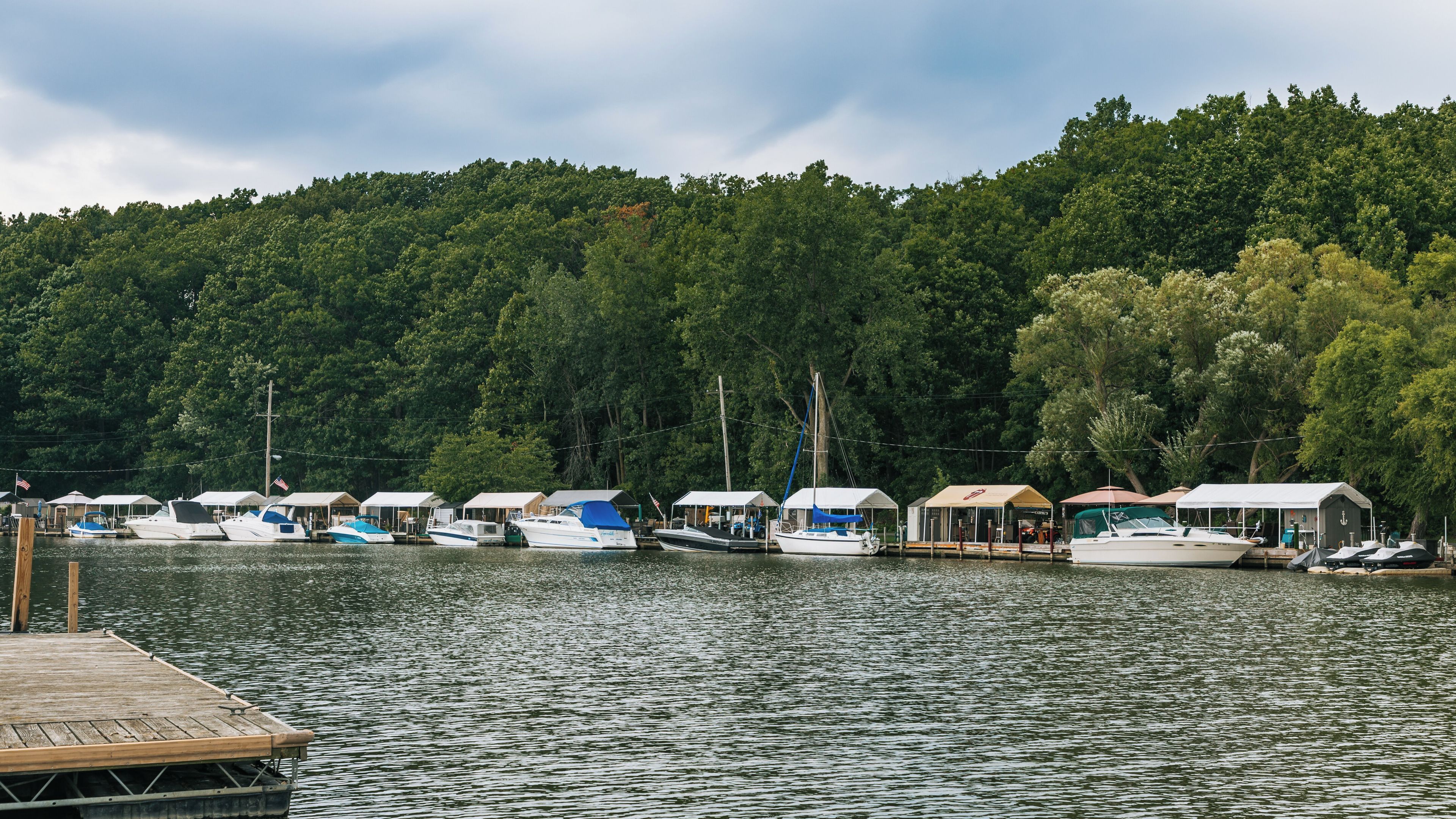 A marina with several boats docked, surrounded by dense forest.