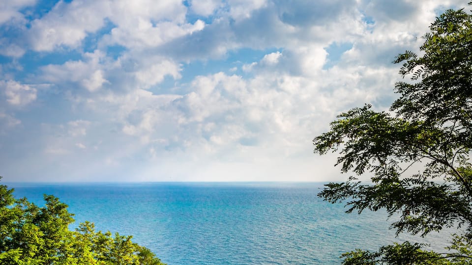 A coastal landscape with dense green foliage in the foreground and a view of the ocean under a partly cloudy sky.