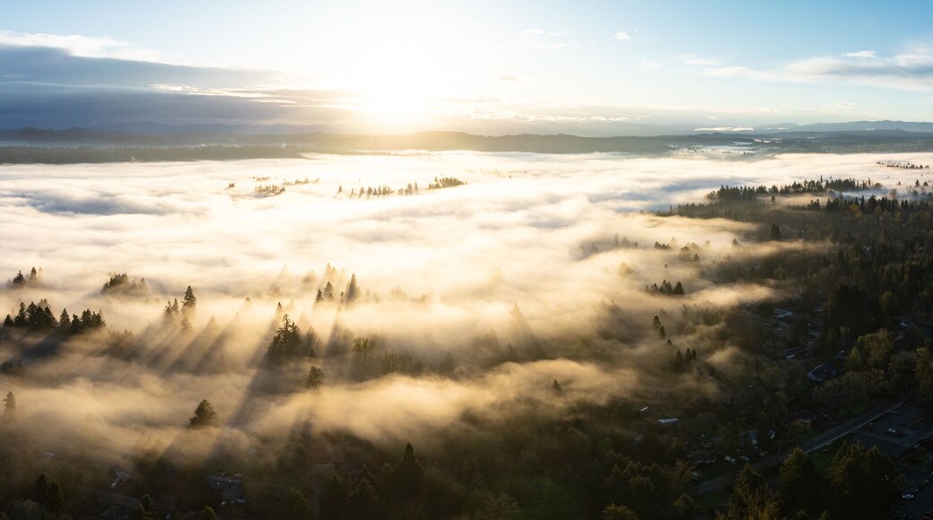 Early morning sunlight illuminates fog that has settled in the Willamette Valley in northern Oregon, not far south of Portland. The entire Pacific Northwest is known for its moist, temperate climate.