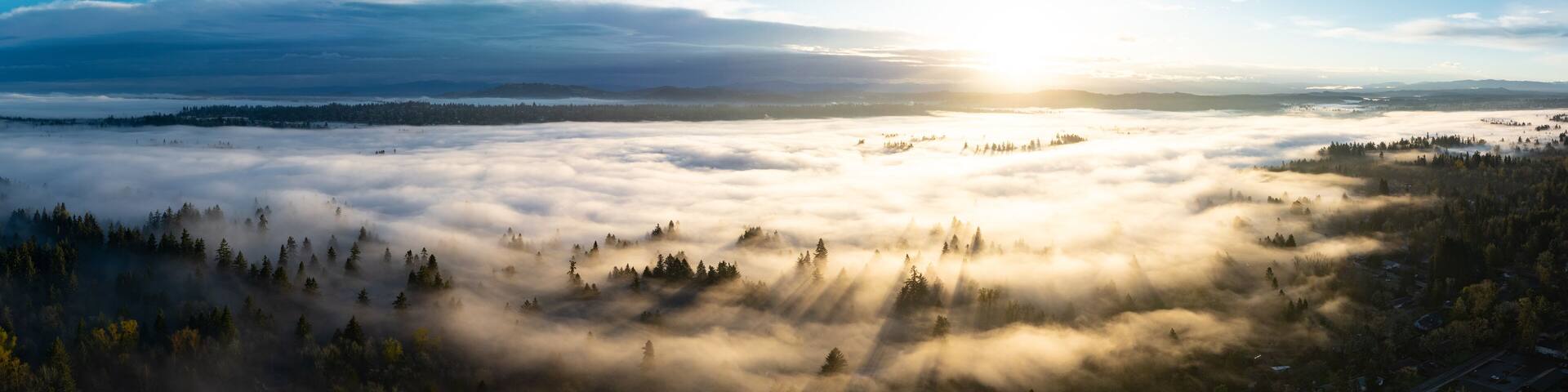Early morning sunlight illuminates fog that has settled in the Willamette Valley in northern Oregon, not far south of Portland. The entire Pacific Northwest is known for its moist, temperate climate.