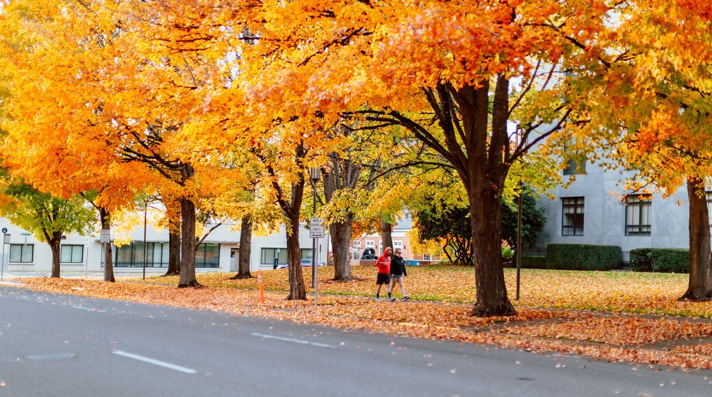 Oregon State Capitol State Park in Autumn season
