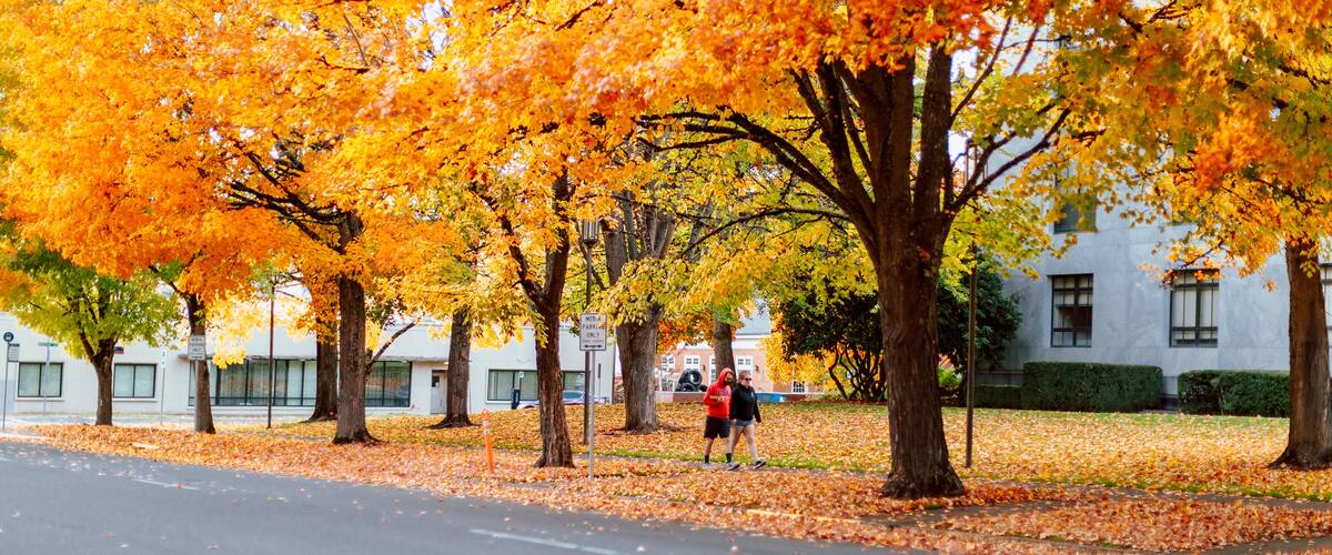 Oregon State Capitol State Park in Autumn season