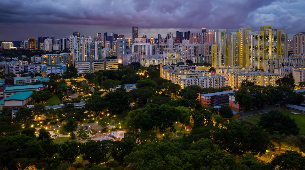 Tiong Bahru