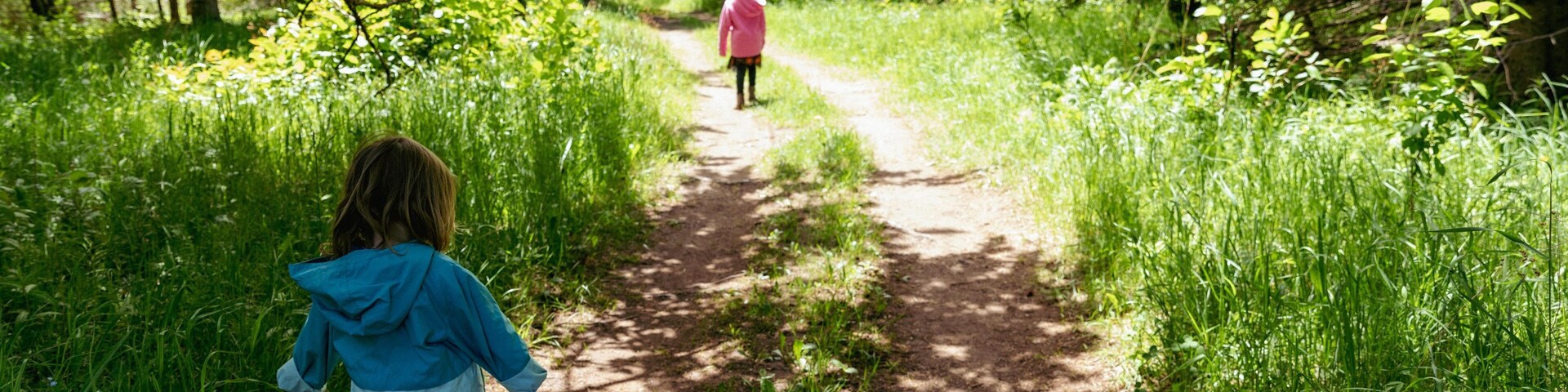 Un sendero arbolado con dos personas alejándose.