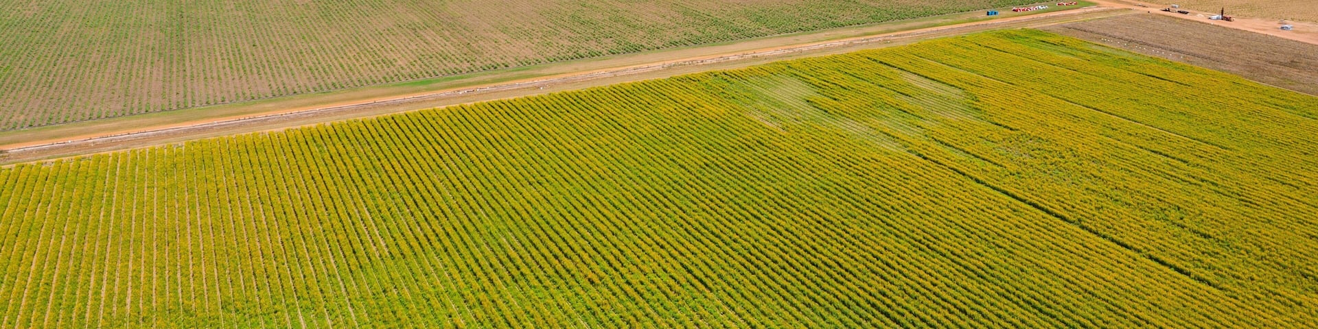 An aerial view of agricultural fields with a dirt road and distant mountains.