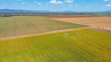Vista aérea de campos agrícolas, un camino de tierra y montañas a lo lejos.
