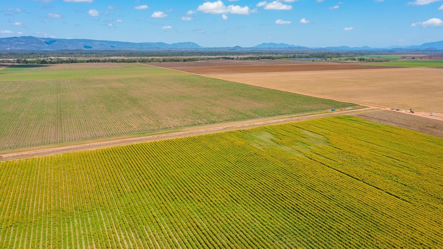 Vue aérienne de champs agricoles, avec un chemin de terre et des montagnes au loin.