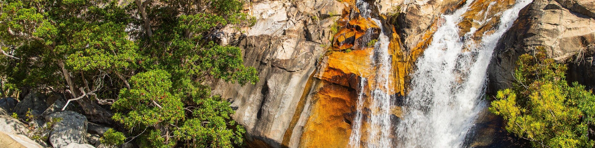 Una cascada que se precipita sobre rocas rodeadas de exuberante vegetación.