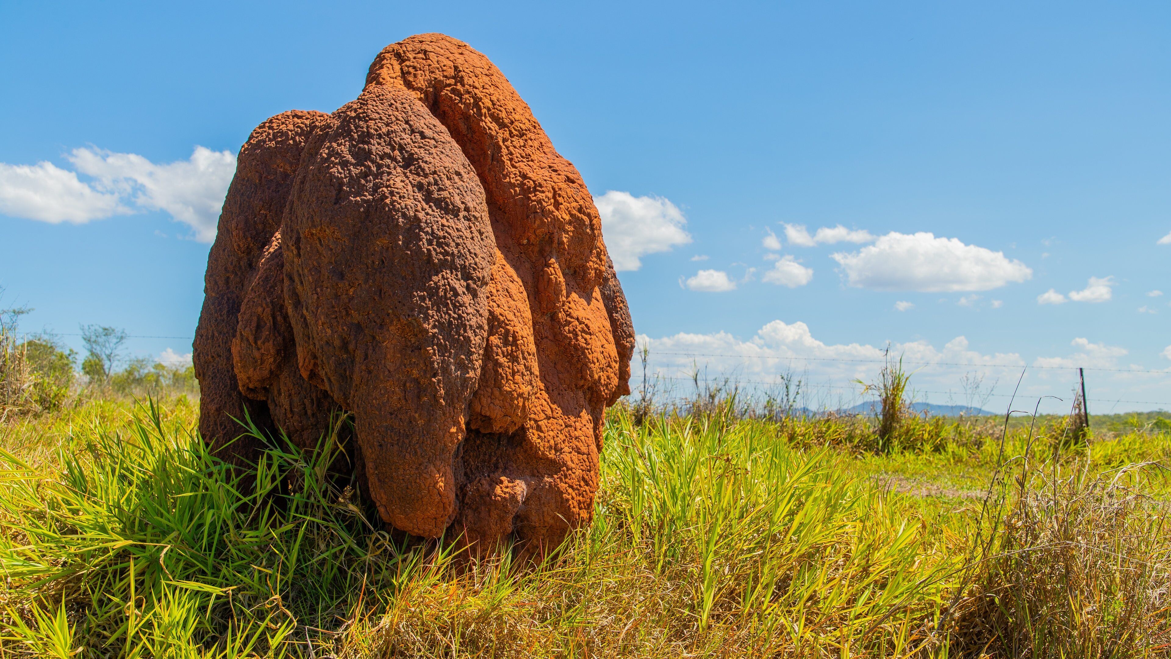 Mareeba featuring tranquil scenes