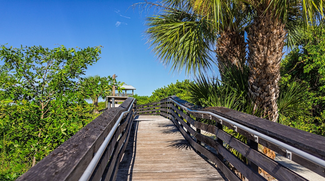 Marco Island near Naples Florida in Coller County with wooden boardwalk path to Tigertail Beach access lagoon on sunny summer day with nobody in tropical landscape