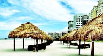 #tikihut #love #beach #florida