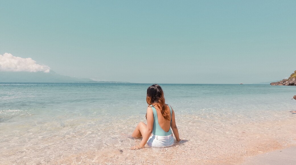 women's blue and white bikini
