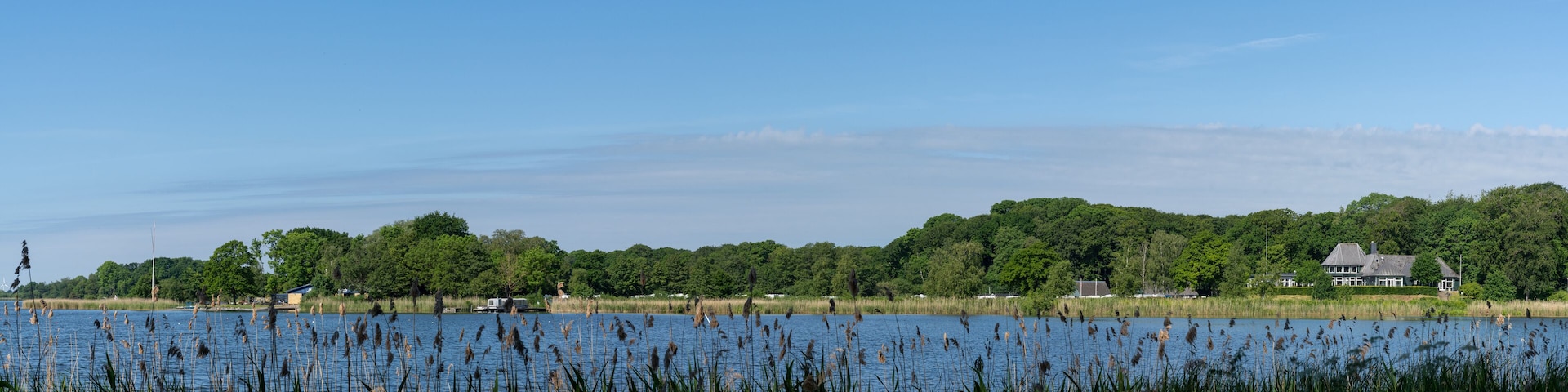 Um lago com gramíneas altas em primeiro plano, céu azul límpido e uma colina arborizada com casas ao fundo.