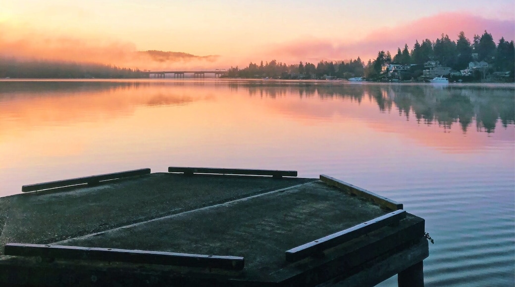 Sunrise perflection at Luther Burbank Park. Mercer Island is absolutely amazing.