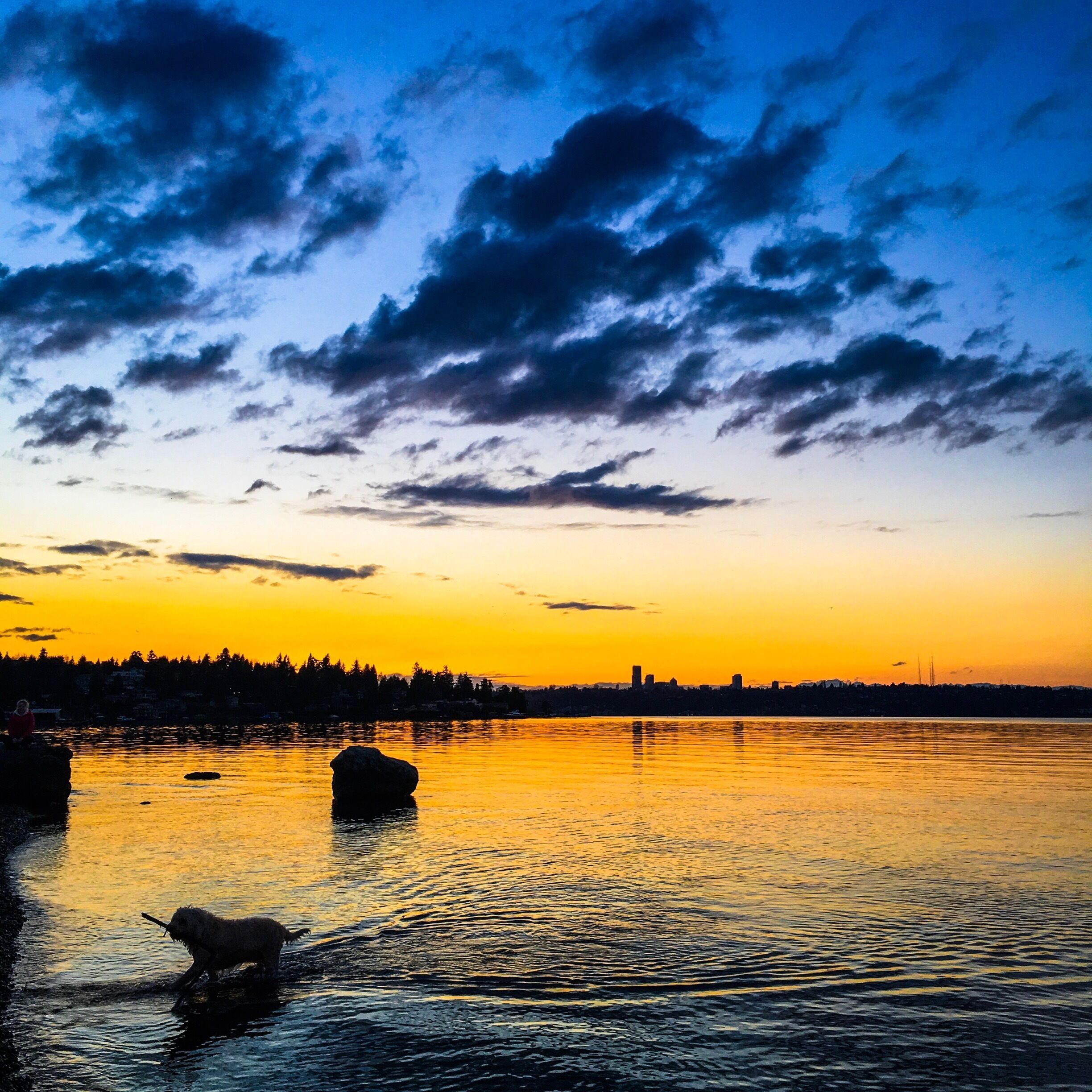 Sunsets are easily my favorite thing to photograph !! Beautiful one here :) #seattle #mercerisland #sunset #sky #clouds #dog #lifeatexpedia 