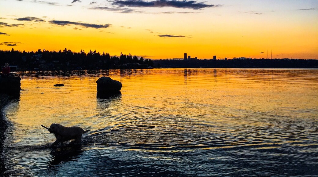 Sunsets are easily my favorite thing to photograph !! Beautiful one here :) #seattle #mercerisland #sunset #sky #clouds #dog #lifeatexpedia