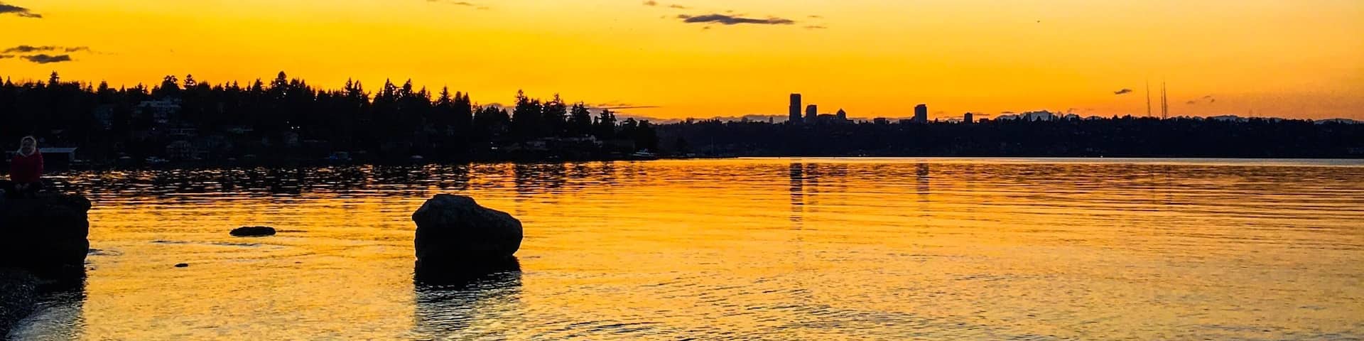 Atardecer sobre una masa de agua, con un perro cerca de la orilla y el silueta de un horizonte urbano al fondo.