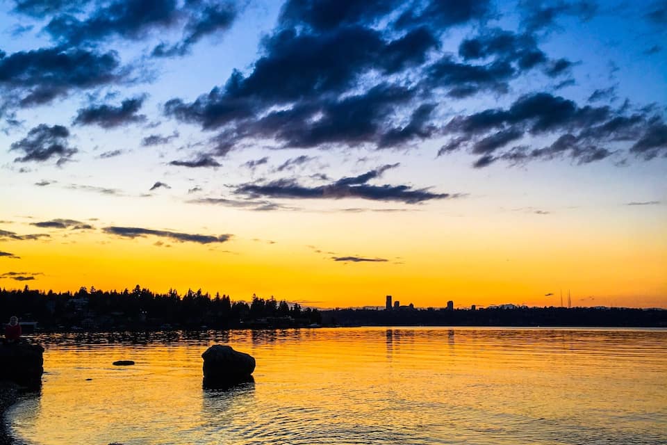 A sunset over a body of water with a dog near the shore and a silhouette of a city skyline in the background.