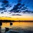 A sunset over a body of water with a dog near the shore and a silhouette of a city skyline in the background.