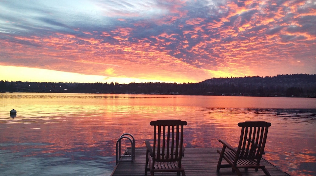 My favorite time of the day. #goldenhour