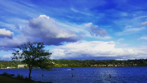 Serene place with people fishing and few benches and yeah Bluee sky!!