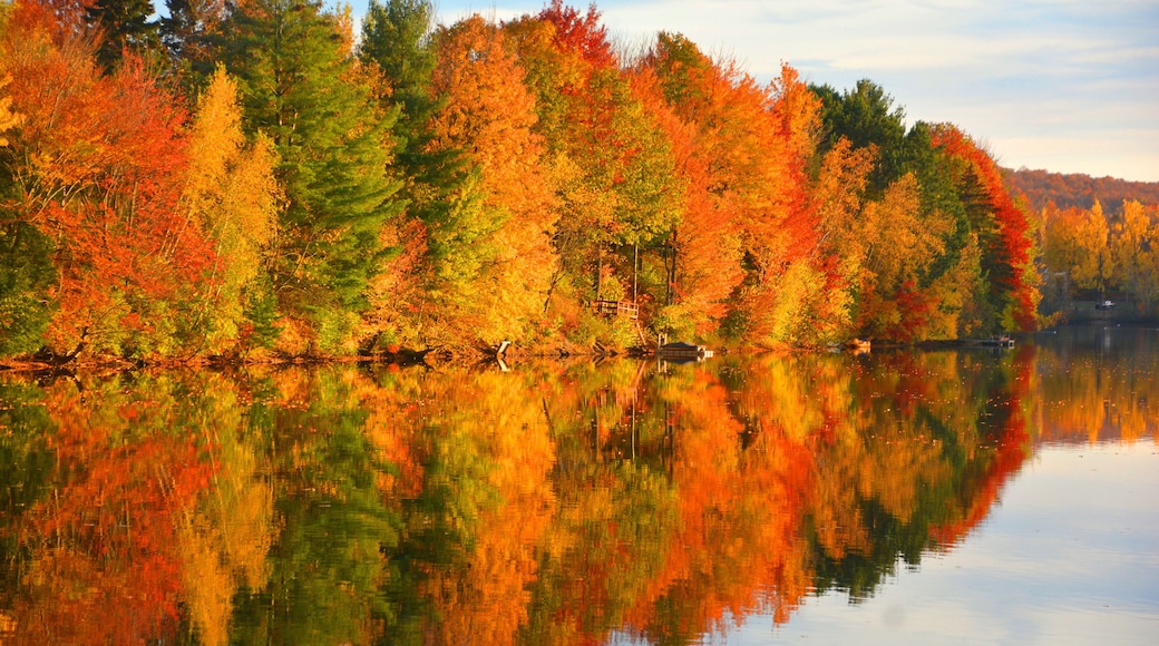 Un lac paisible oĂč se reflĂštent les arbres dâautomne, aux feuilles vertes, jaunes et rouges.