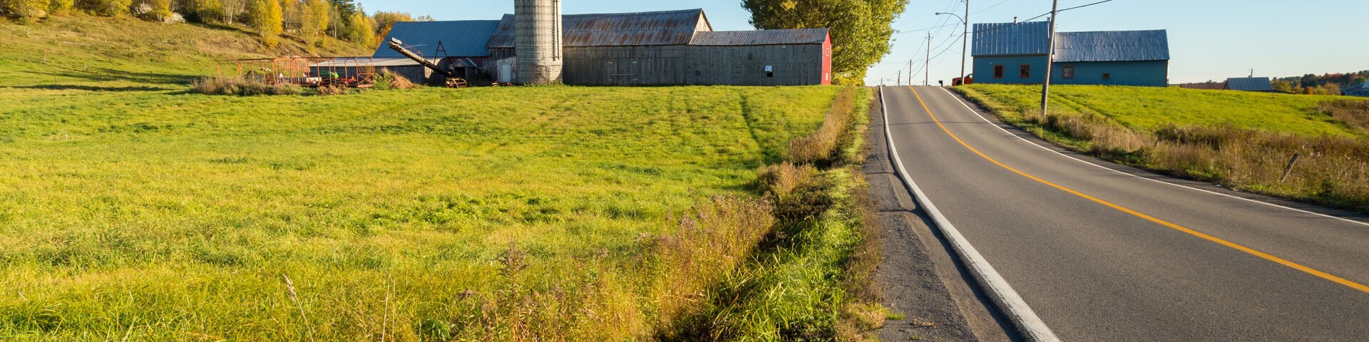 A rural road with a silo, barns, and a clear sky.