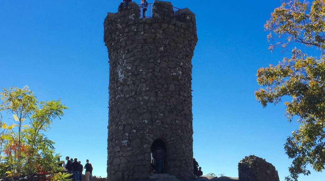 Moderate hike, beautiful views, dog friendly.