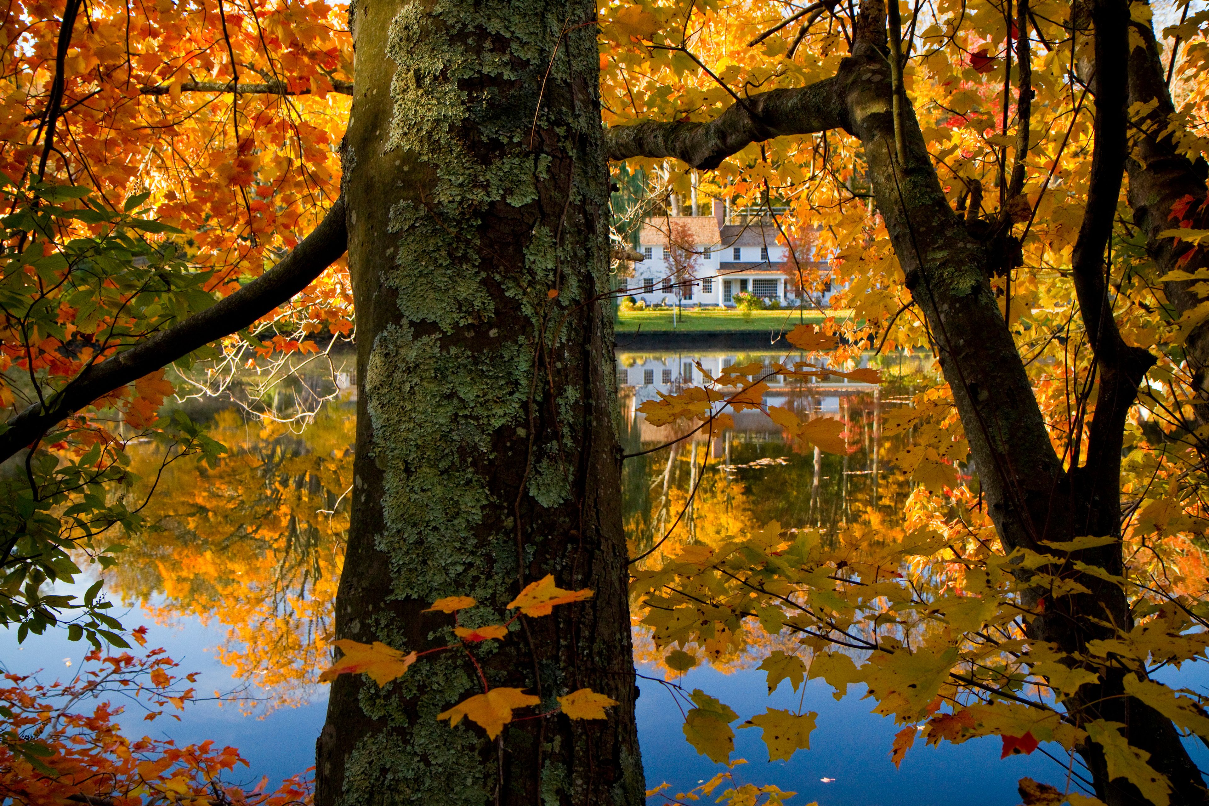 Autumn in Connecticut.