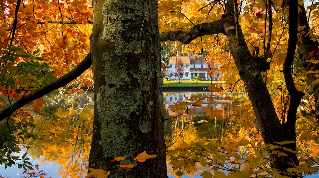 A lake surrounded by trees with autumn leaves, a house in the background, and a clear reflection of the trees and sky.