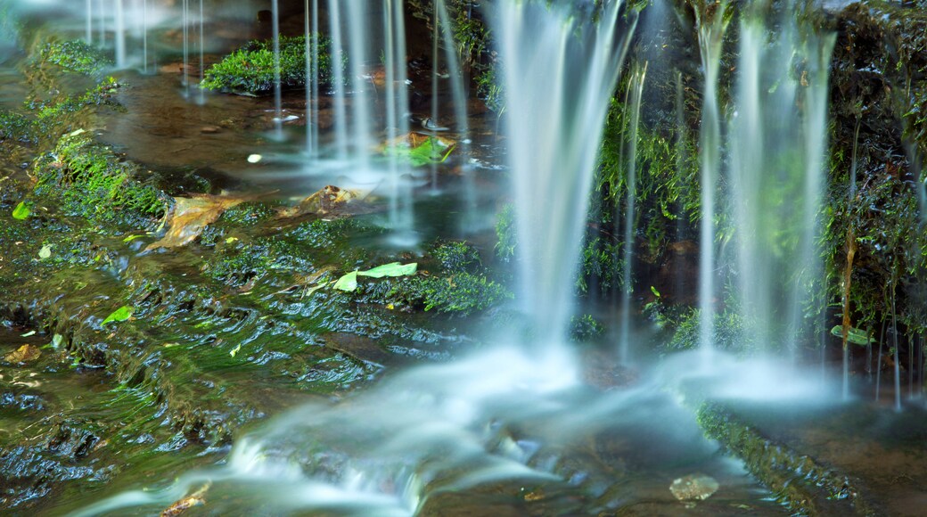 A waterfall cascading over moss-covered rocks.