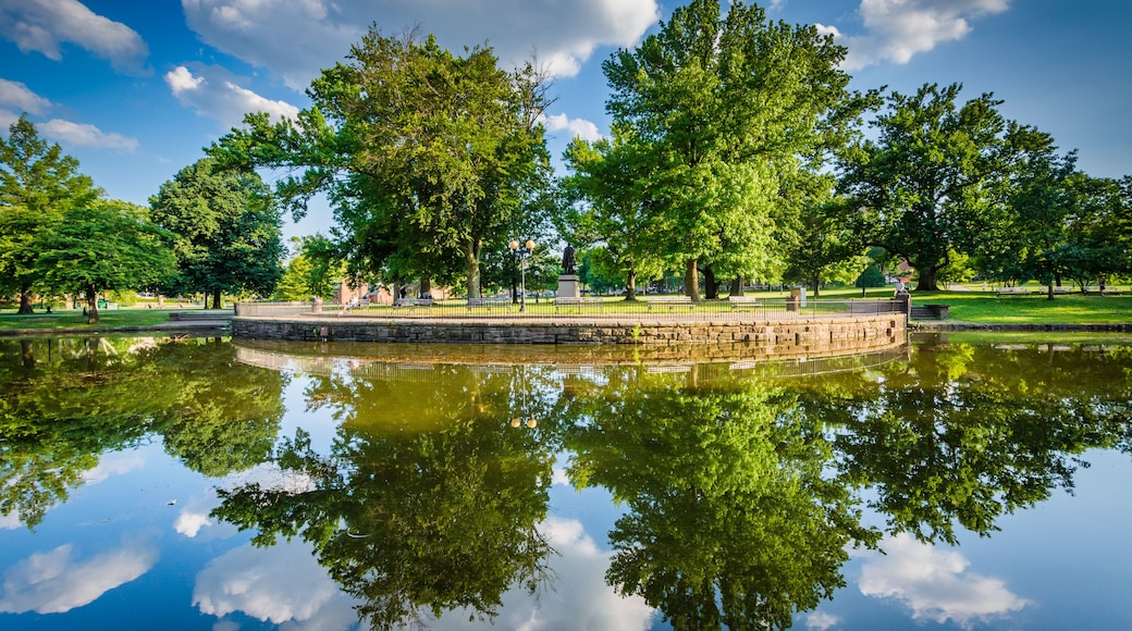 A serene park with a reflective pond, lush trees, and a stone wall.