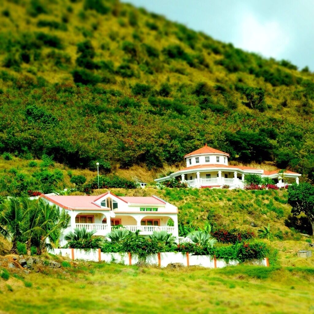 Two large houses on a hillside with lush greenery and a clear sky.