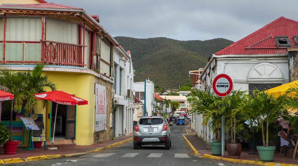 Marigot featuring a small town or village