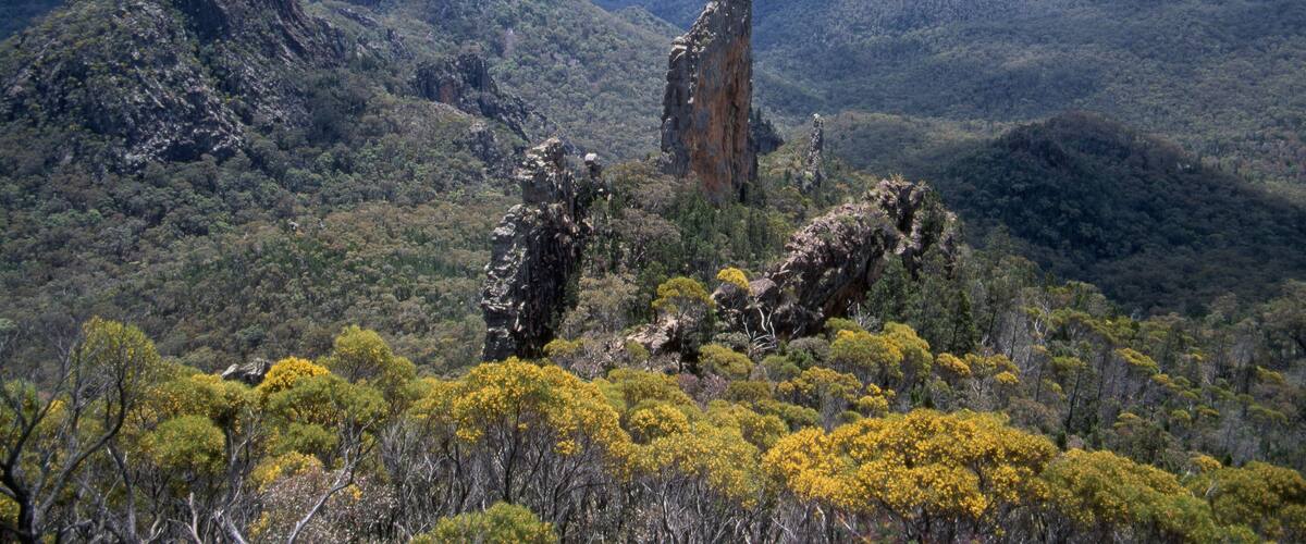A mountainous landscape with prominent rock formations and dense green foliage.