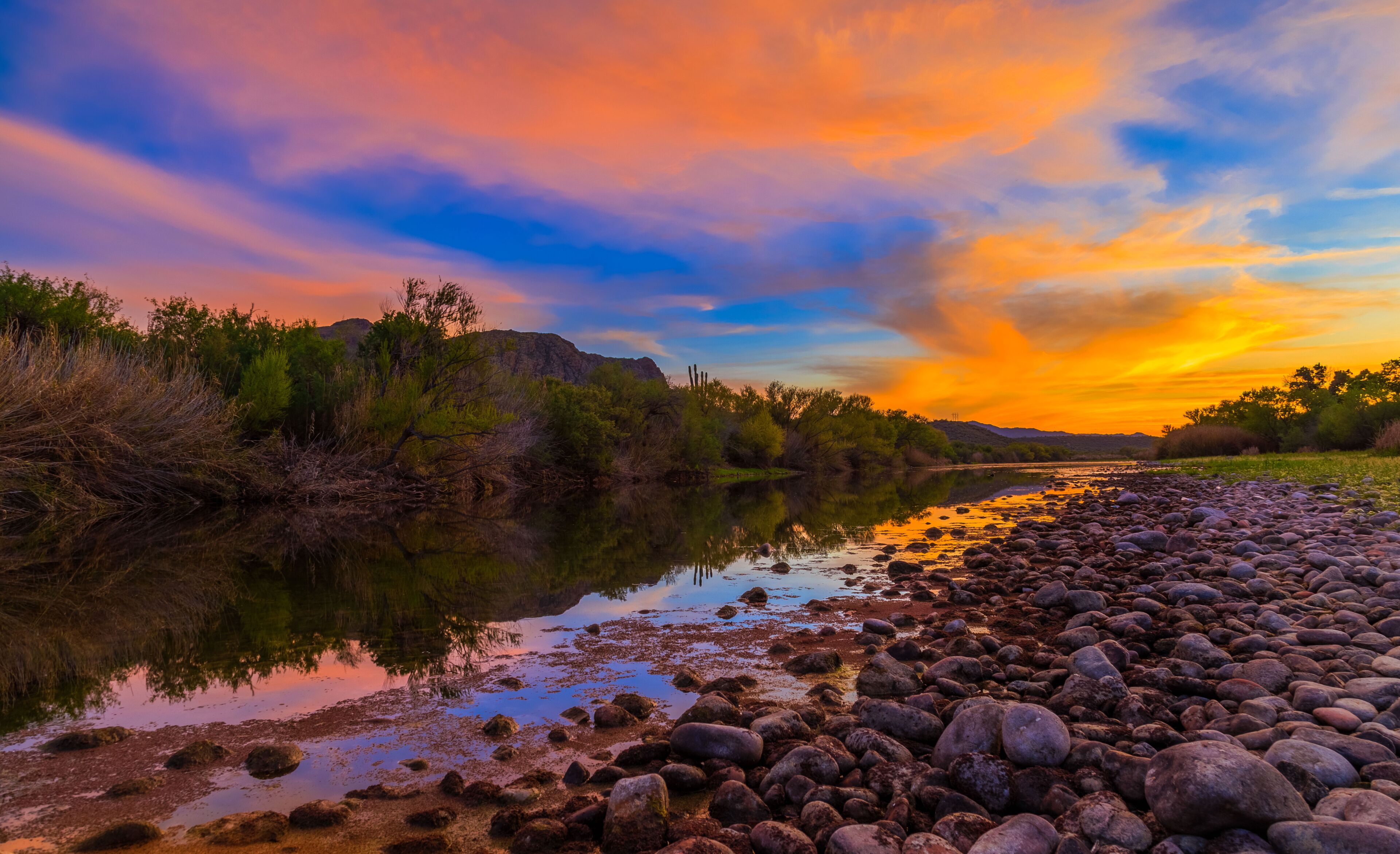 A riverbank with rocks and trees during sunset.