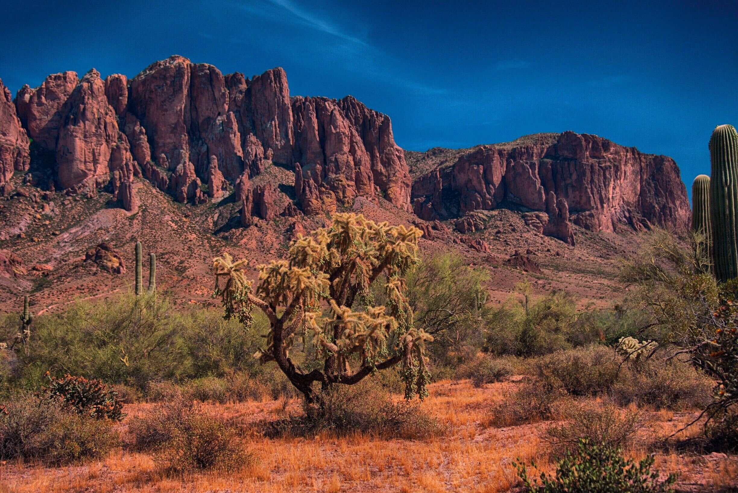 This place has great rock formations, cactus are everywhere and a great old dusty road to travel all around the area.