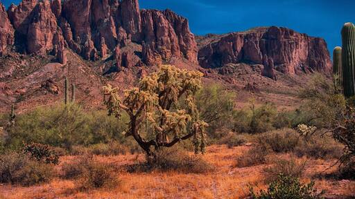 This place has great rock formations, cactus are everywhere and a great old dusty road to travel all around the area.