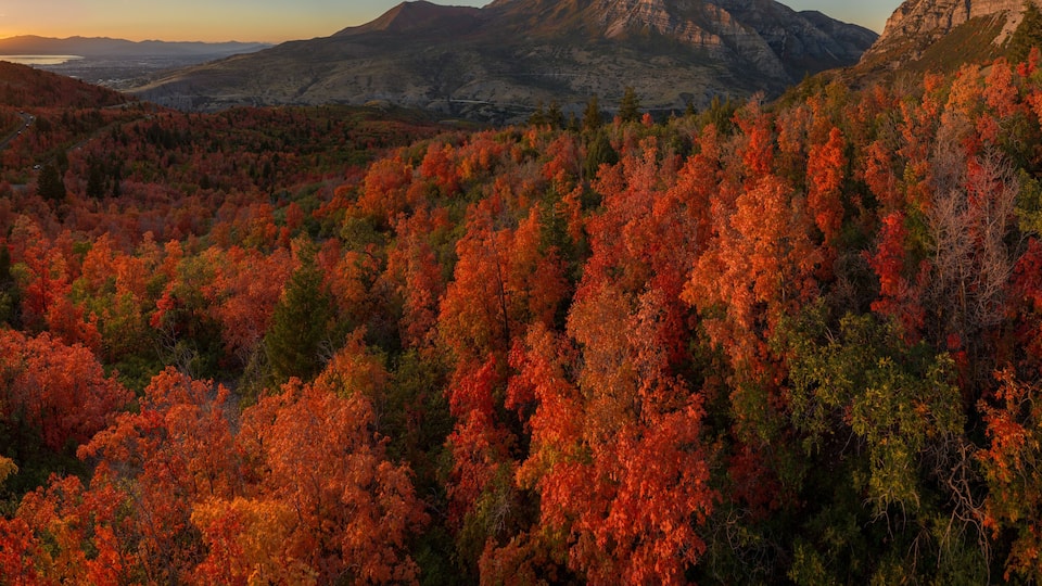 A mountainous landscape with autumn foliage.